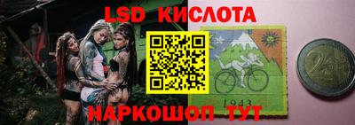 меф Кингисепп